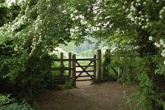 dřevěná brána